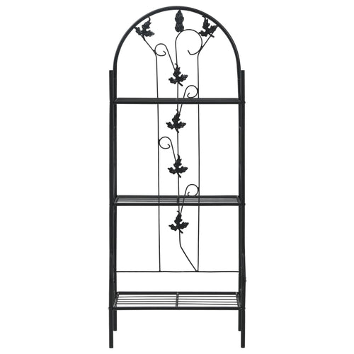 Plantenrek 3-Laags 52X28X128 Cm Ijzer Zwart
