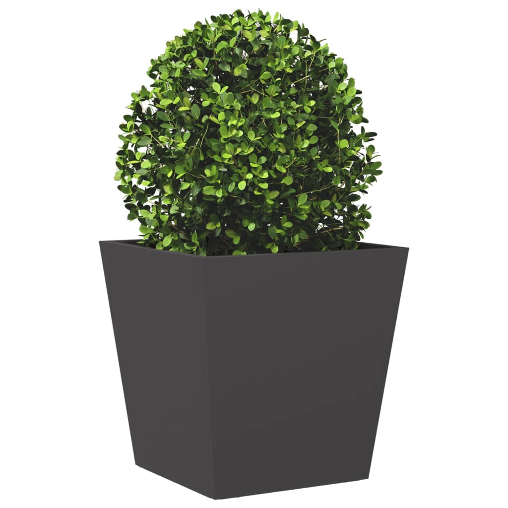 Plantenbakken Staal Zwart