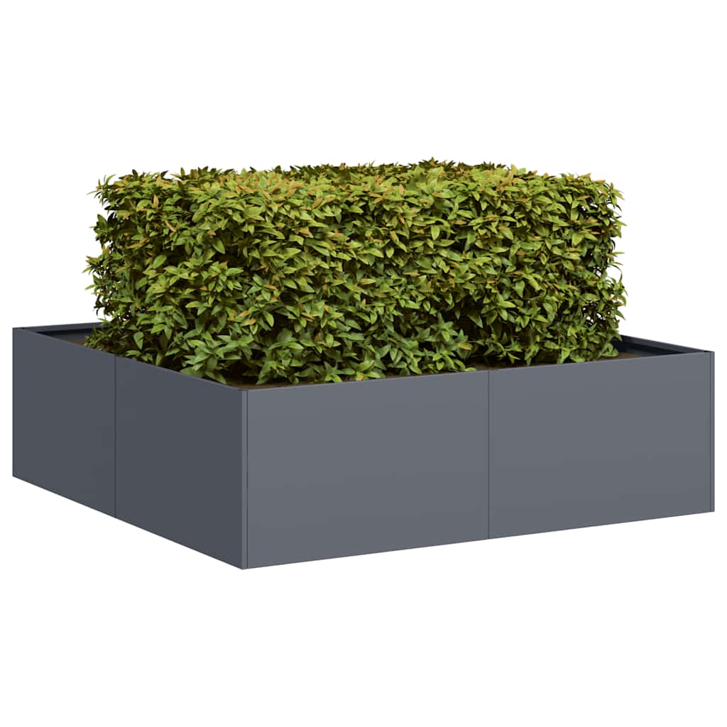 Plantenbak