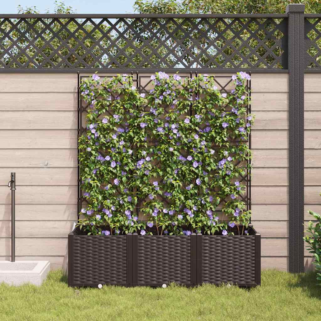 Tuin Bloempot 3 St Pp