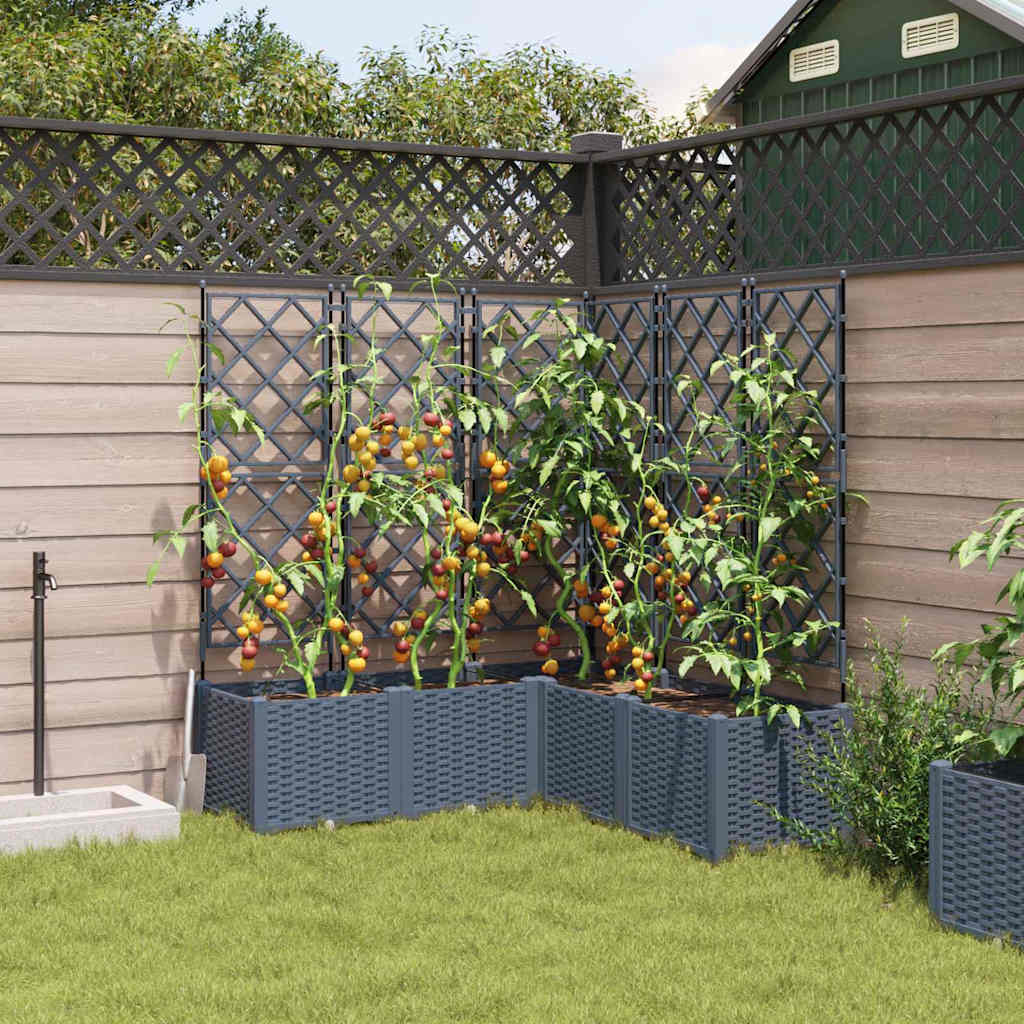 Tuin Bloempot 5 St Pp