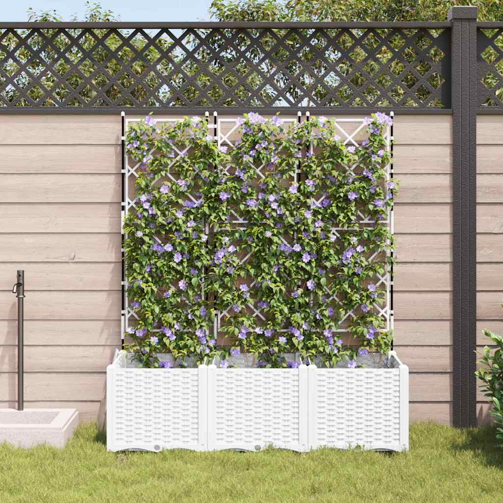 Tuin Bloempot 3 St Pp