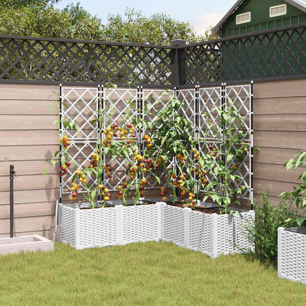 Tuin Bloempot 5 St Pp