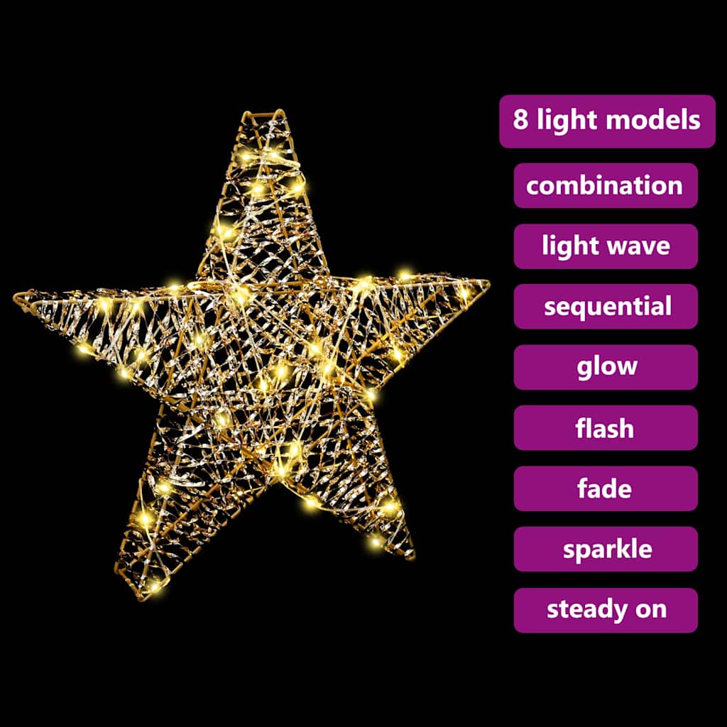 3D Ster 50 Led's Warmwit 55 X 52.5 X 9 Cm Pet