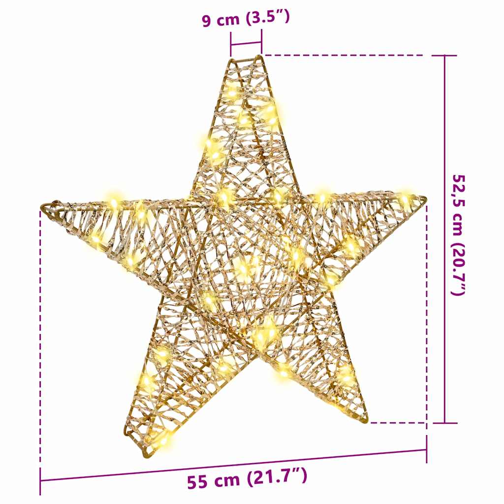 3D Ster 50 Led's Warmwit 55 X 52.5 X 9 Cm Pet