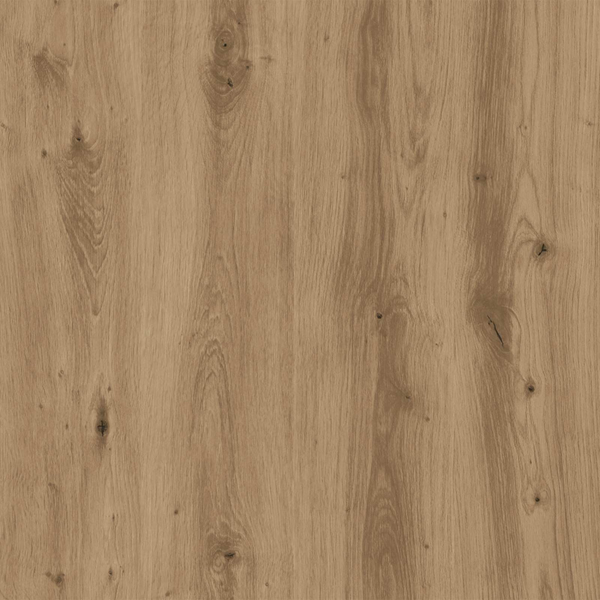 Hondenhuis 44 X 42 X 49 Cm Bewerkt Hout