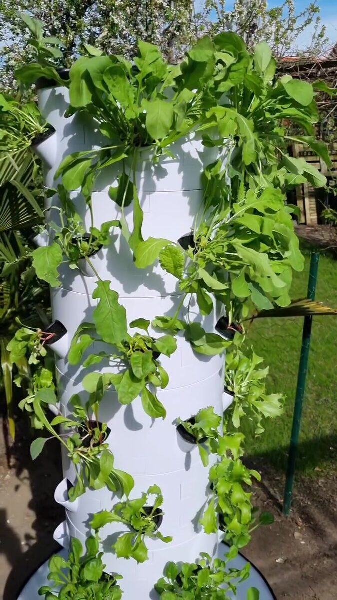 Verticale moestuin vol bladgroen in de tuin